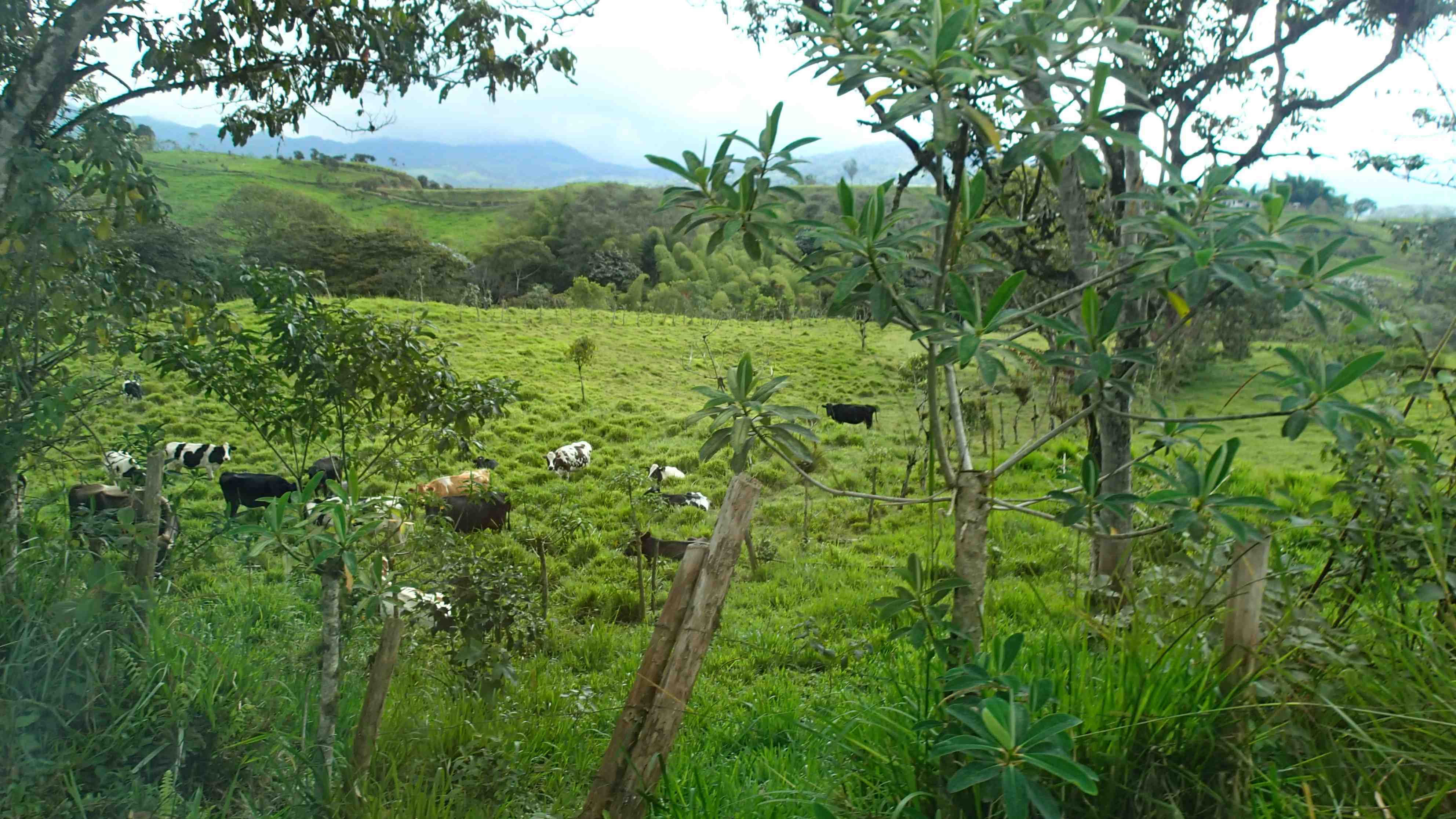 chautauqua-ecuador-2016