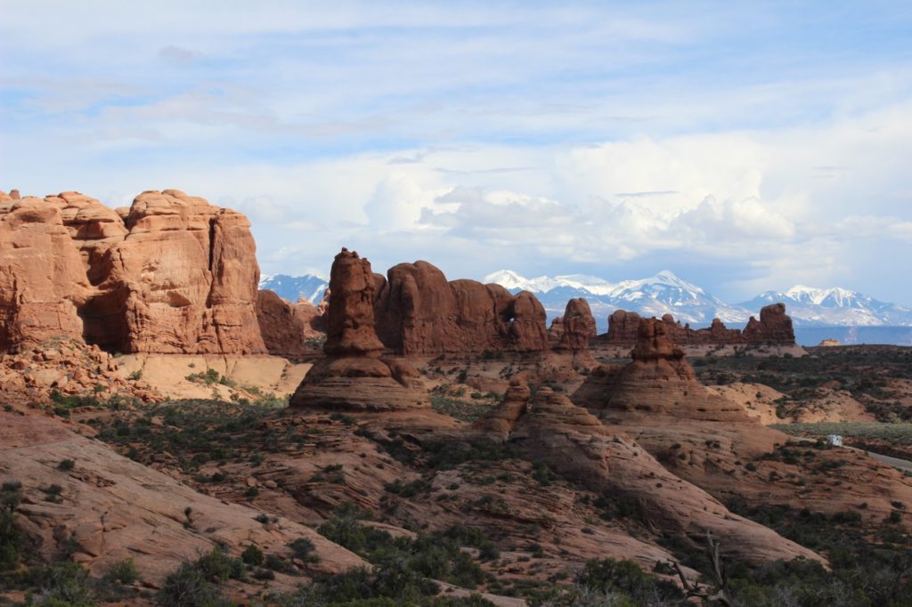 arches-national-park-dogs