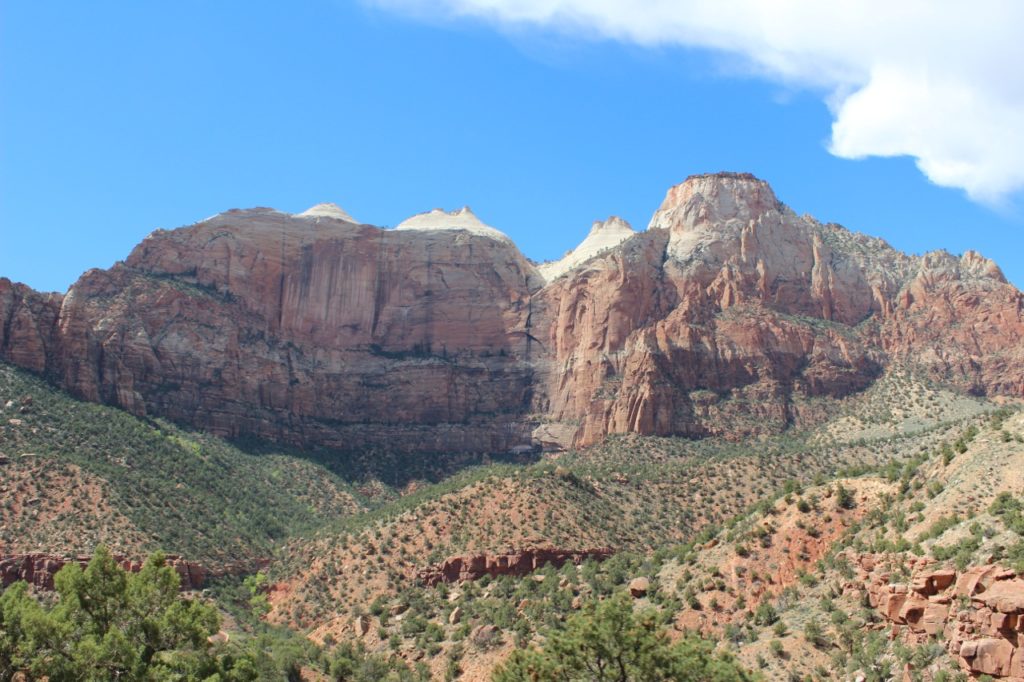 zion-national-park-dogs