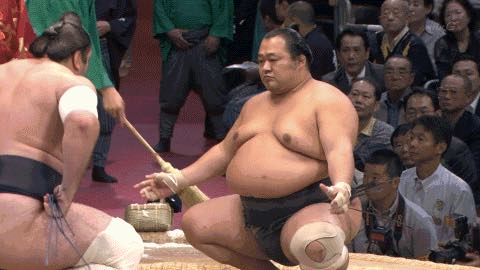 sumo-wrestler-pic