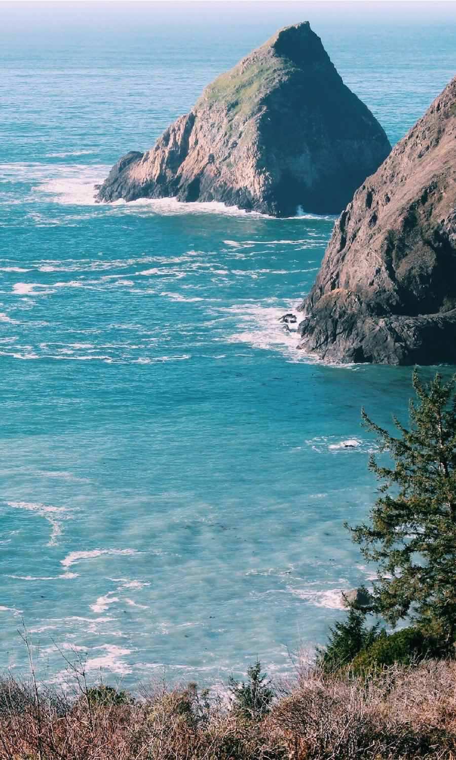 On my travel bucket list! This is great Oregon coast road trip itinerary.