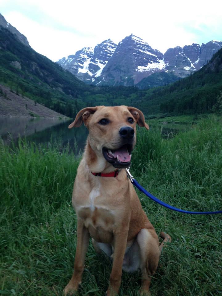 dog-friendly-aspen