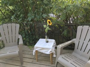 airbnb-backyard-cottage