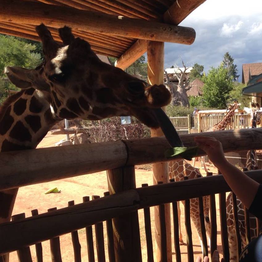 Colorado Springs Zoo 