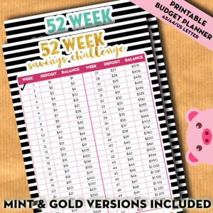 savings-tracker-52-week-challenge