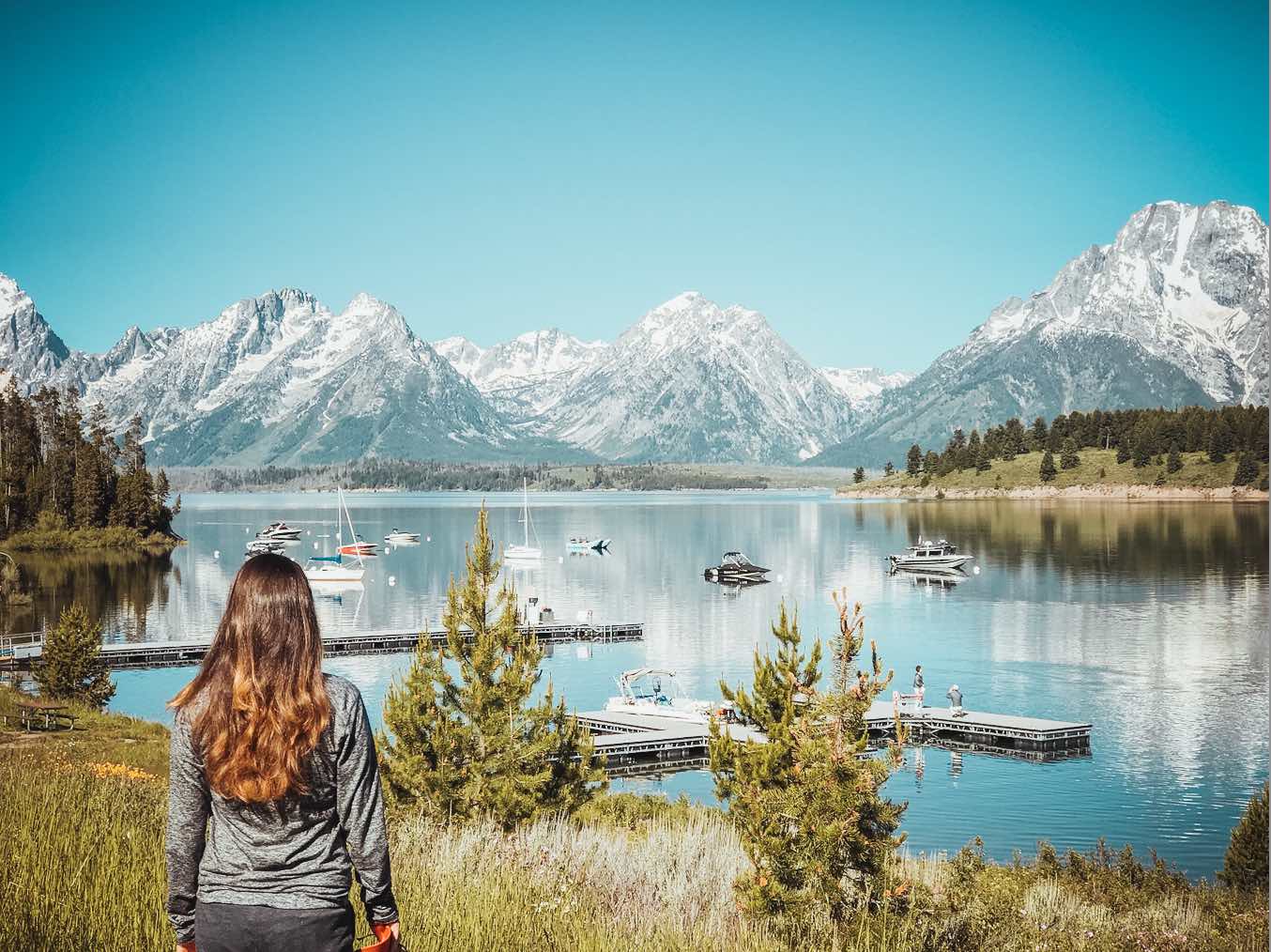 signal mountain lodge jackson hole wy