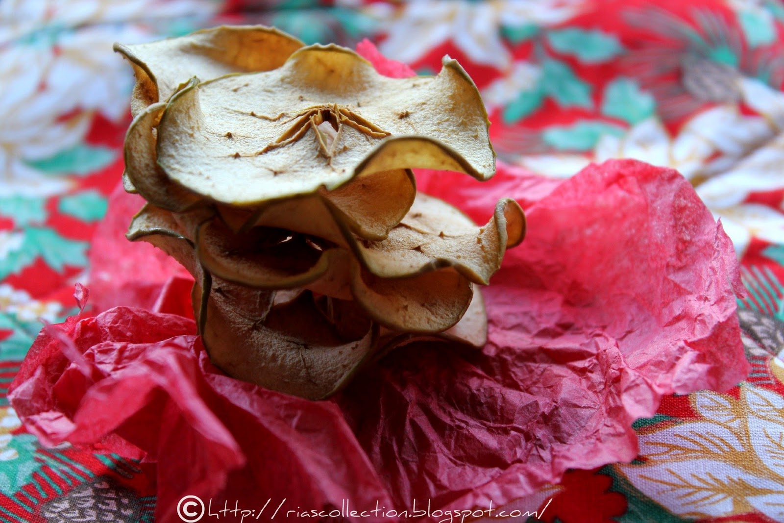 Bake Apple Chips Cheap and Fun Activities for Kids Fall