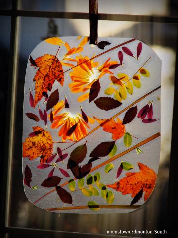 fall leaf window hanging diy crafts for kids activities