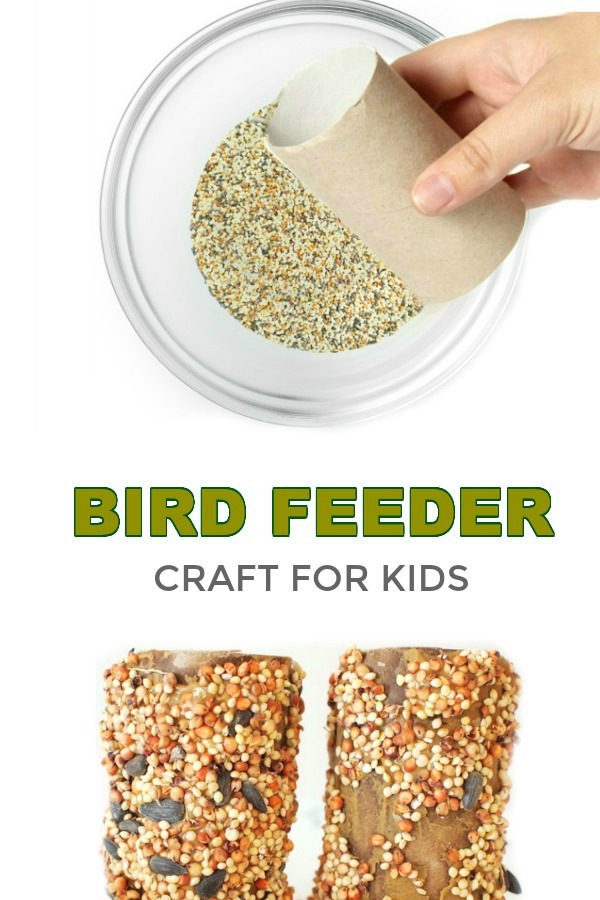 Homemade bird feeder diy crafts for kids fun and cheap