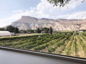 maison-winery-palisade-colorado