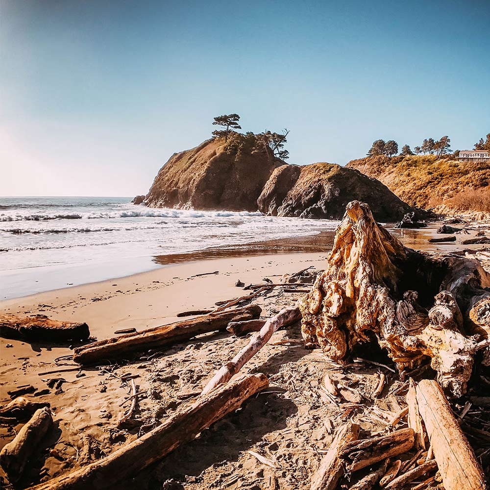 oregon-coast-beach - Millennial Boss