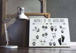 Animal Print Woodland Nursery Theme Decor