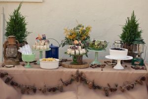 camping theme summer baby shower coed ideas