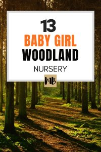 13 Baby Girl Woodland Nursery Ideas