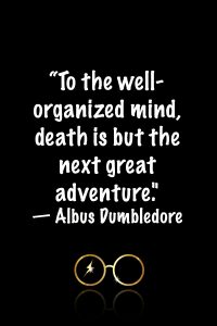 More Dumbledore quotes from Harry Potter