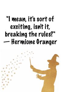 Hermione Granger quote