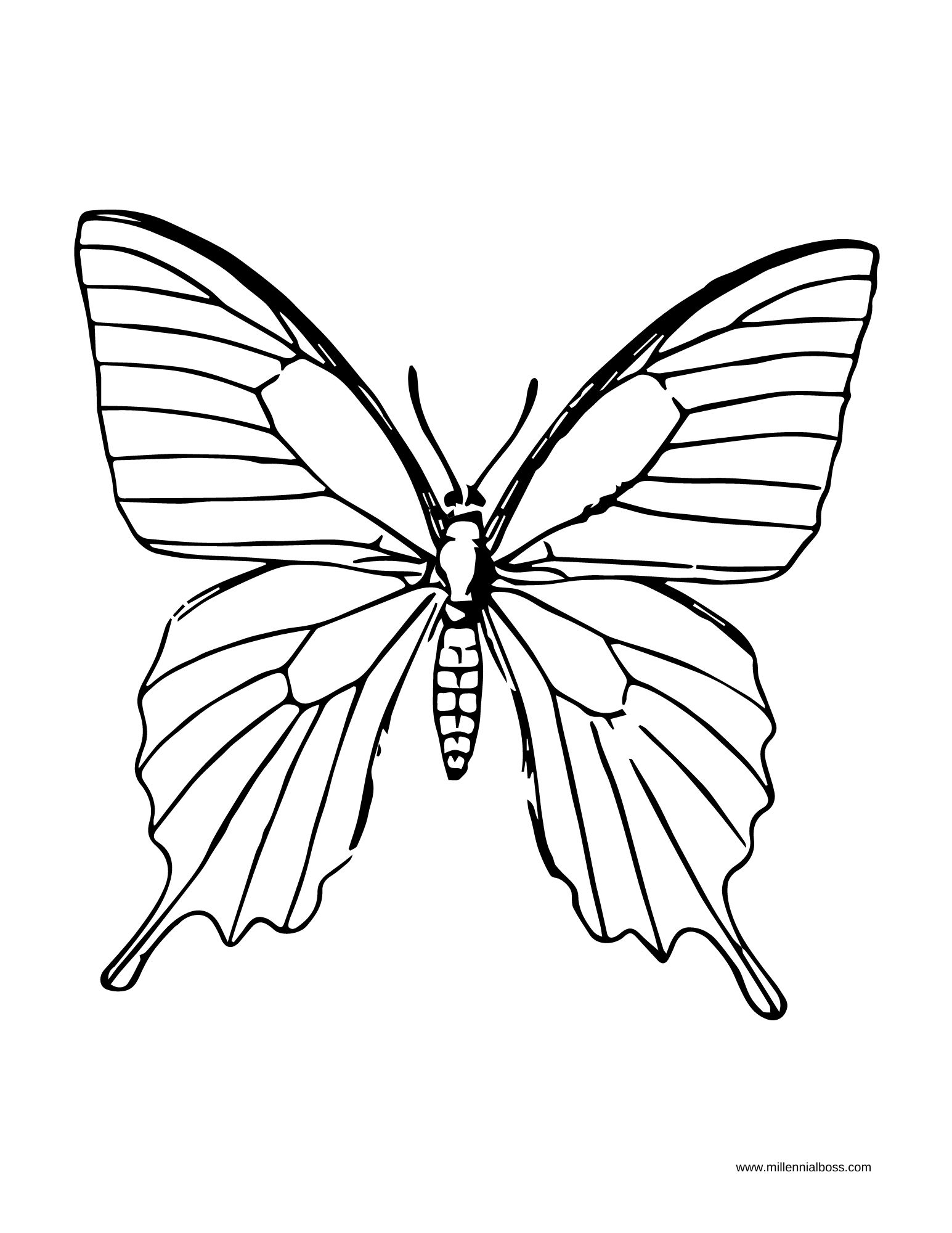 Butterfly Drawing guide and coloring page printables