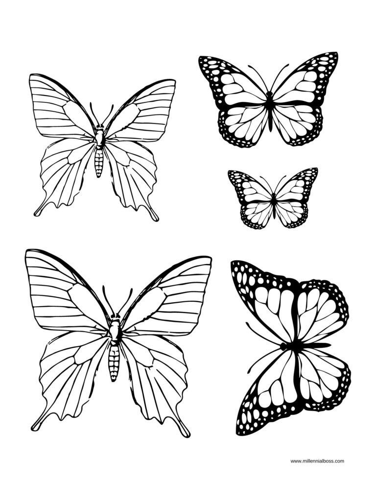 Butterfly Drawing guide and coloring page printables