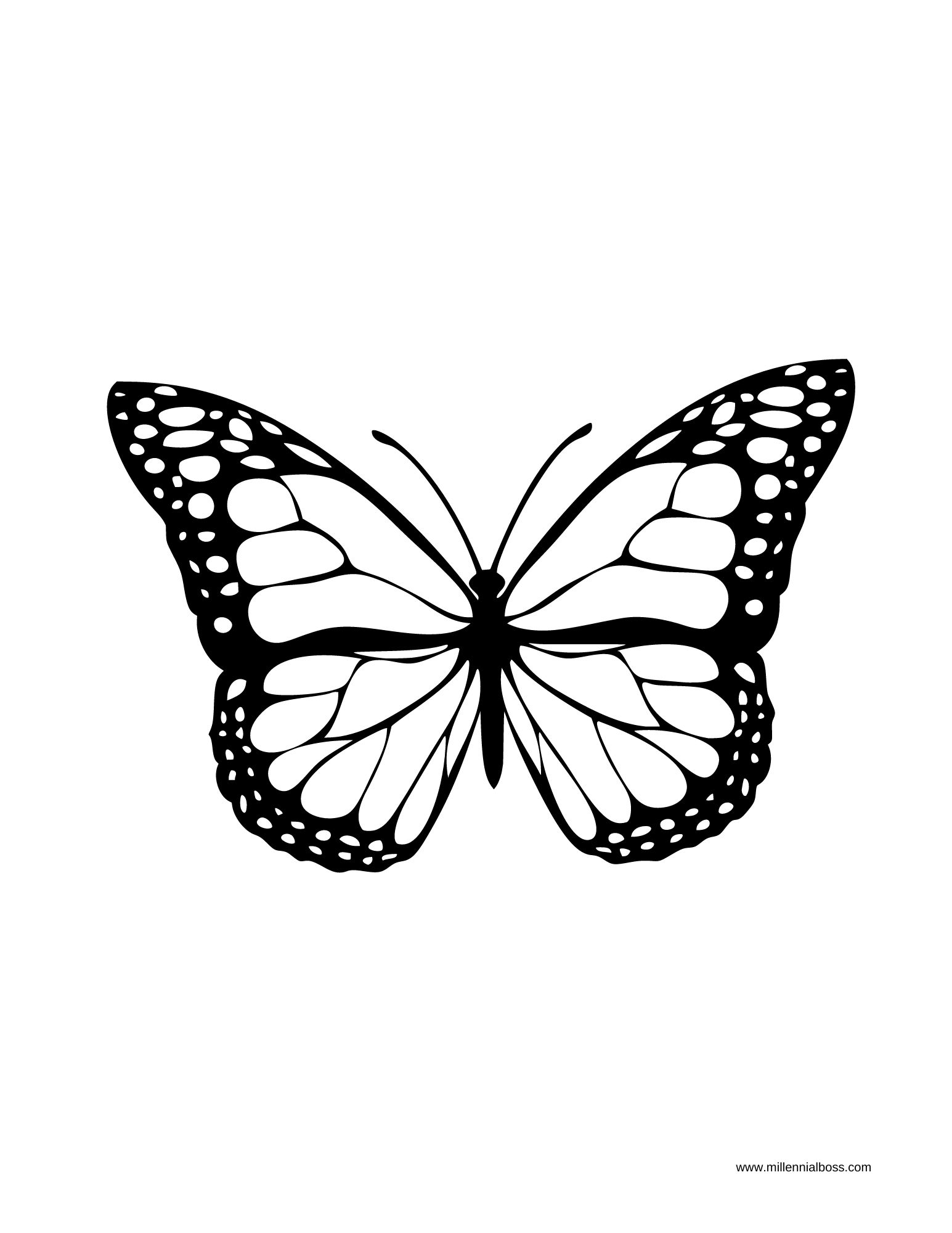 download butterfly drawing