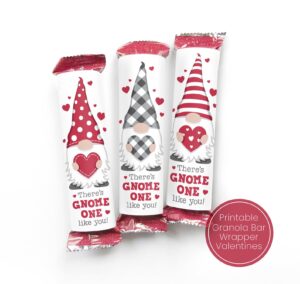 gnome valentines day cards gifts kids